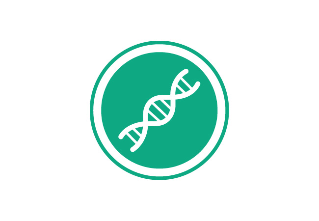 DNA Icon DNA Icon