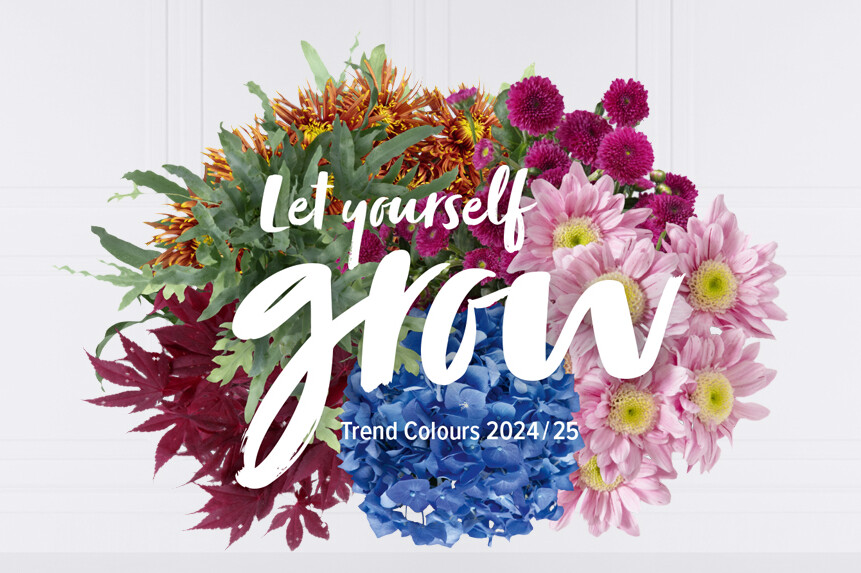 Épanouissez-vous avec les Juzo Trend Colours 2024/25