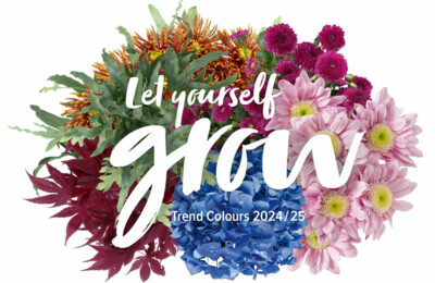 Trend Colours jetzt nachbestellen