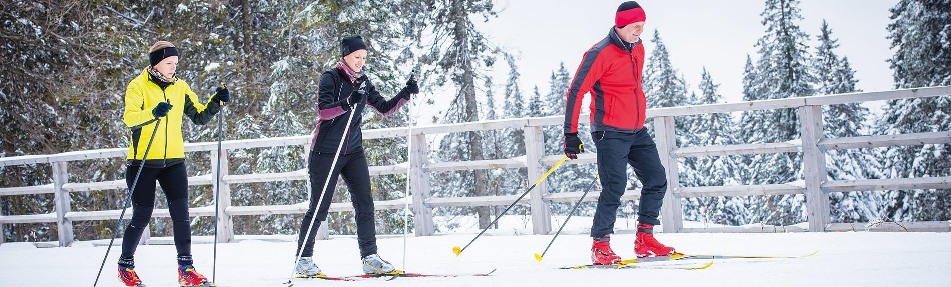 Retour sur la piste