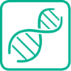 Icon Weakness of the veins and connective tissue
