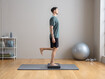 Exercise 1: Standing on one leg on balance cushion with knee bend