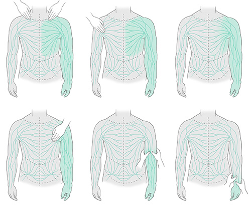 Lymphatic drainage and its effects in different areas of the lymphatic system: upper body visualization