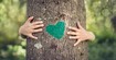 Tree with green heart