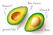 Nährstoffe und Vitamine der Avocado