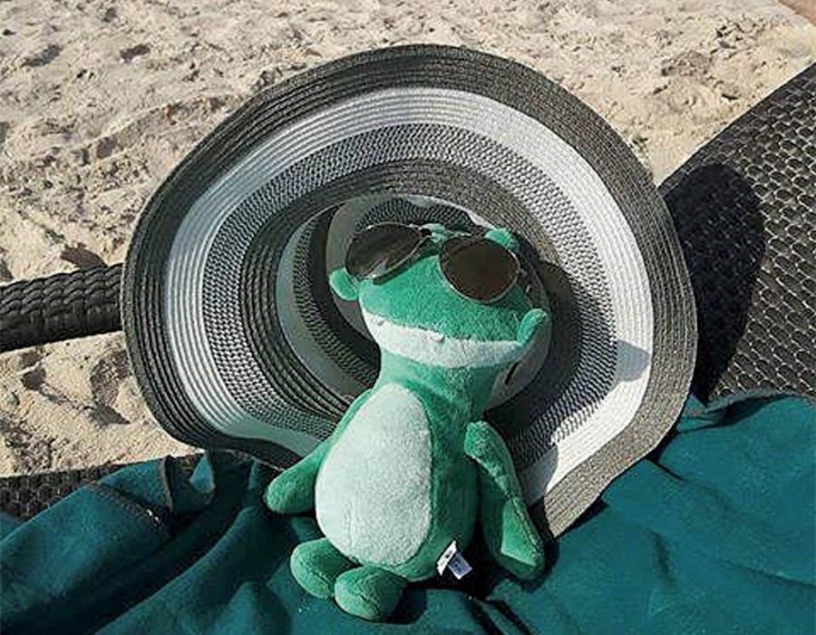 Julius på stranden Julius på stranden