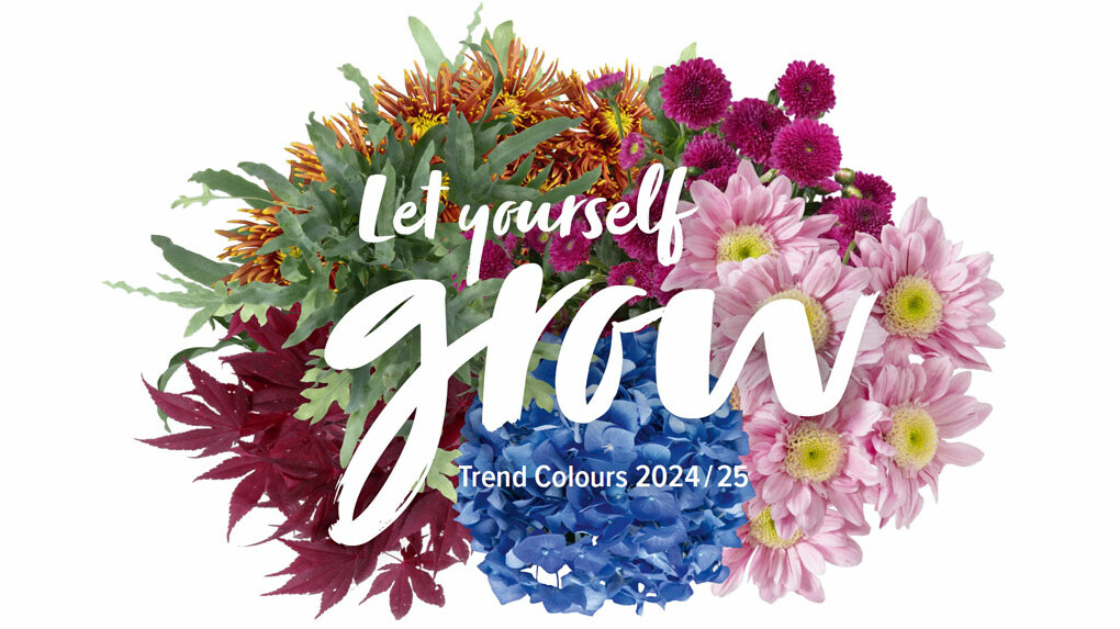 Juzo Trend Colours Juzo Trend Colours