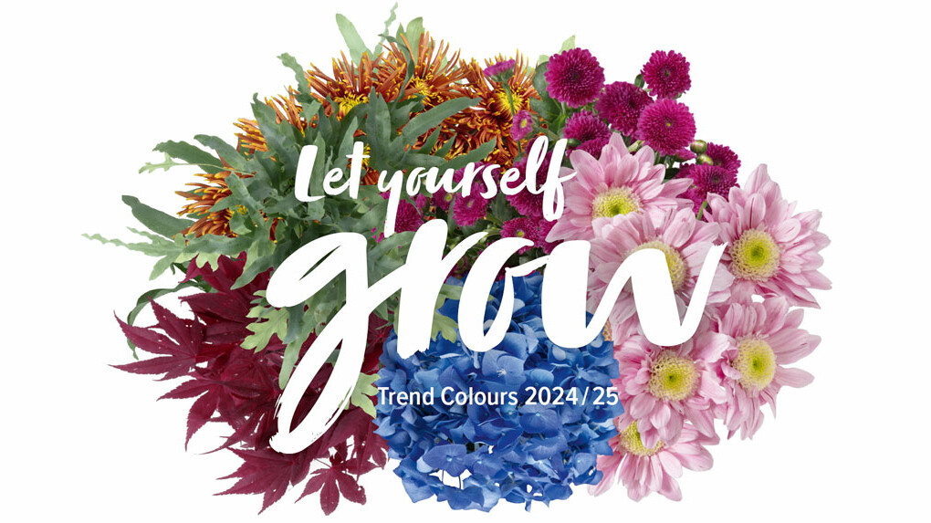 Mainteaser Trend Colours Mainteaser Trend Colours